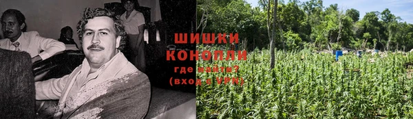 PSILOCYBIN Алексеевка