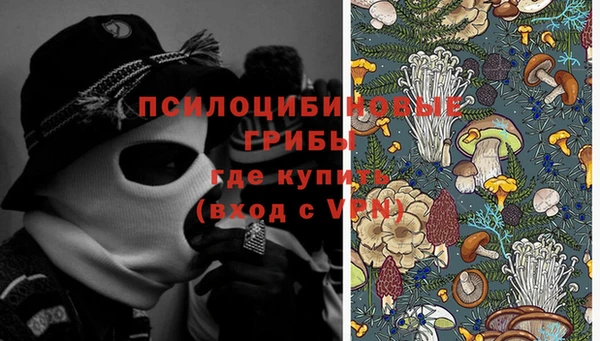 твердый Алексин