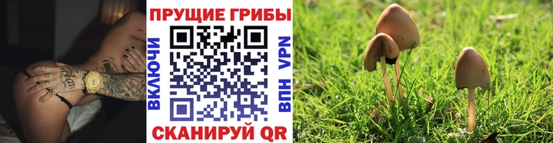 Псилоцибиновые грибы ЛСД  Дегтярск 